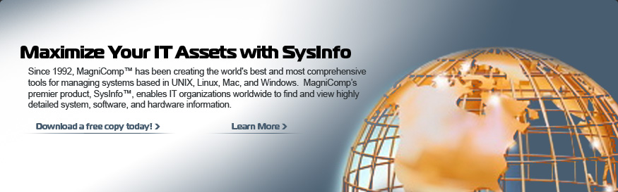 Maximize Your IT Assets with SysInfo